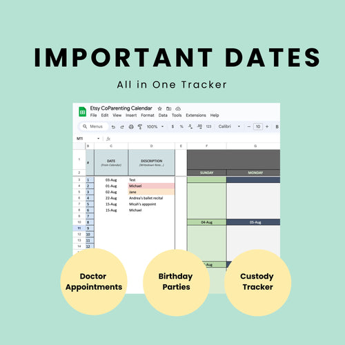 Co Parenting Calendar Organiser Divorce Custody Planner Editable Google Sheets Co-Parenting Routine Visitation Schedules Child Appointment